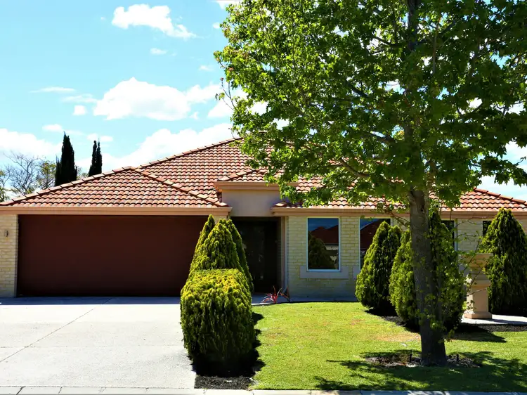Main view of Homely house listing, 29 Fernhill Avenue, Carramar WA 6031