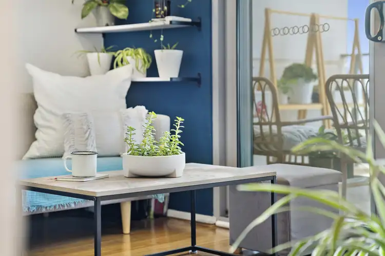 Sixth view of Homely apartment listing, 113/77 Gozzard Street, Gungahlin ACT 2912