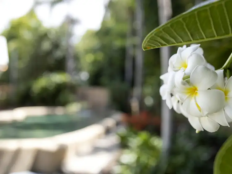 Fifth view of Homely house listing, 2 Ilse Close, Clifton Beach QLD 4879