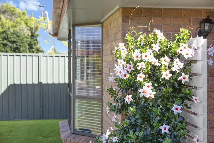 Second view of Homely house listing, 18 Camira Street, Alexandra Hills QLD 4161