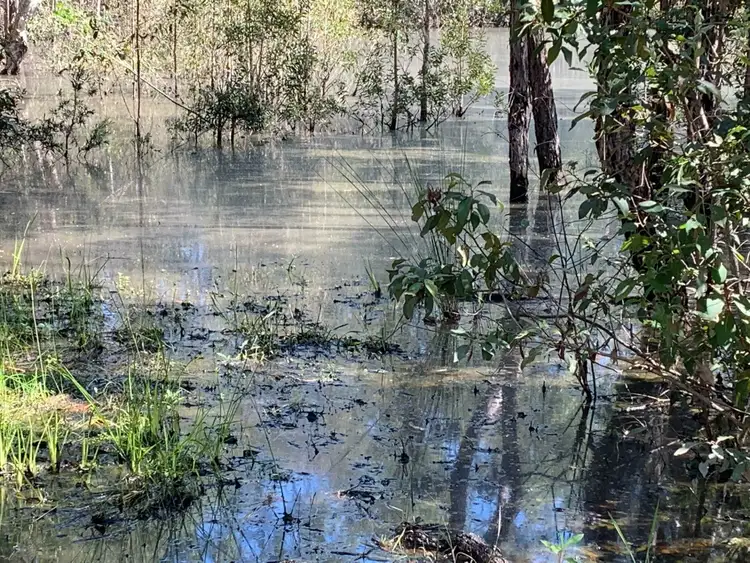 Fifth view of Homely land listing, 3 Archer Rd, Spring Creek QLD 4343