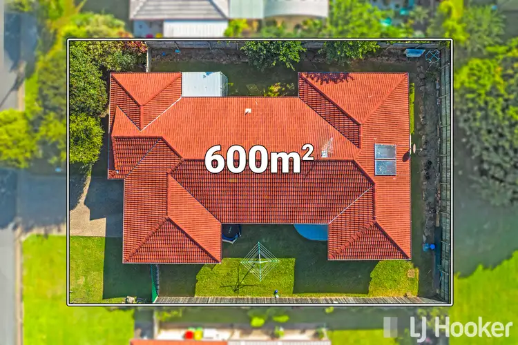 19 Adam Street, Cleveland QLD 4163
