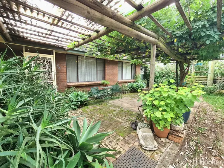 Main view of Homely house listing, 67 Segenhoe Street, Aberdeen NSW 2336