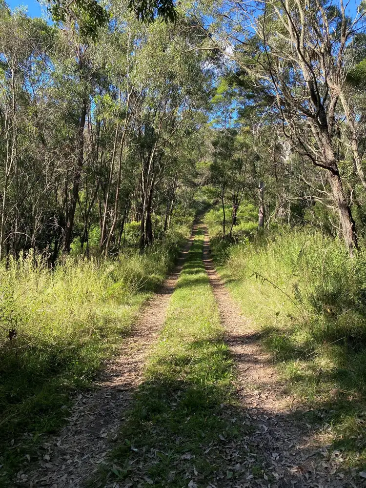 Second view of Homely rural property listing, 314 Glen Oaks Road, Brogo NSW 2550