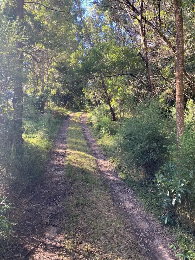 Fifth view of Homely rural property listing, 314 Glen Oaks Road, Brogo NSW 2550