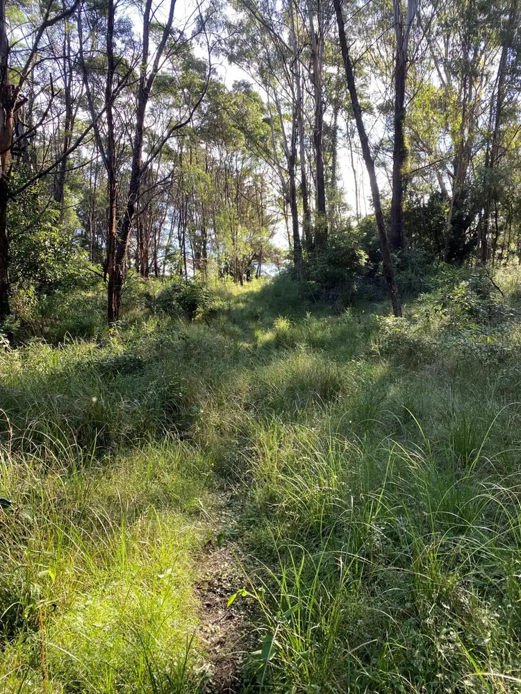 Sixth view of Homely rural property listing, 314 Glen Oaks Road, Brogo NSW 2550