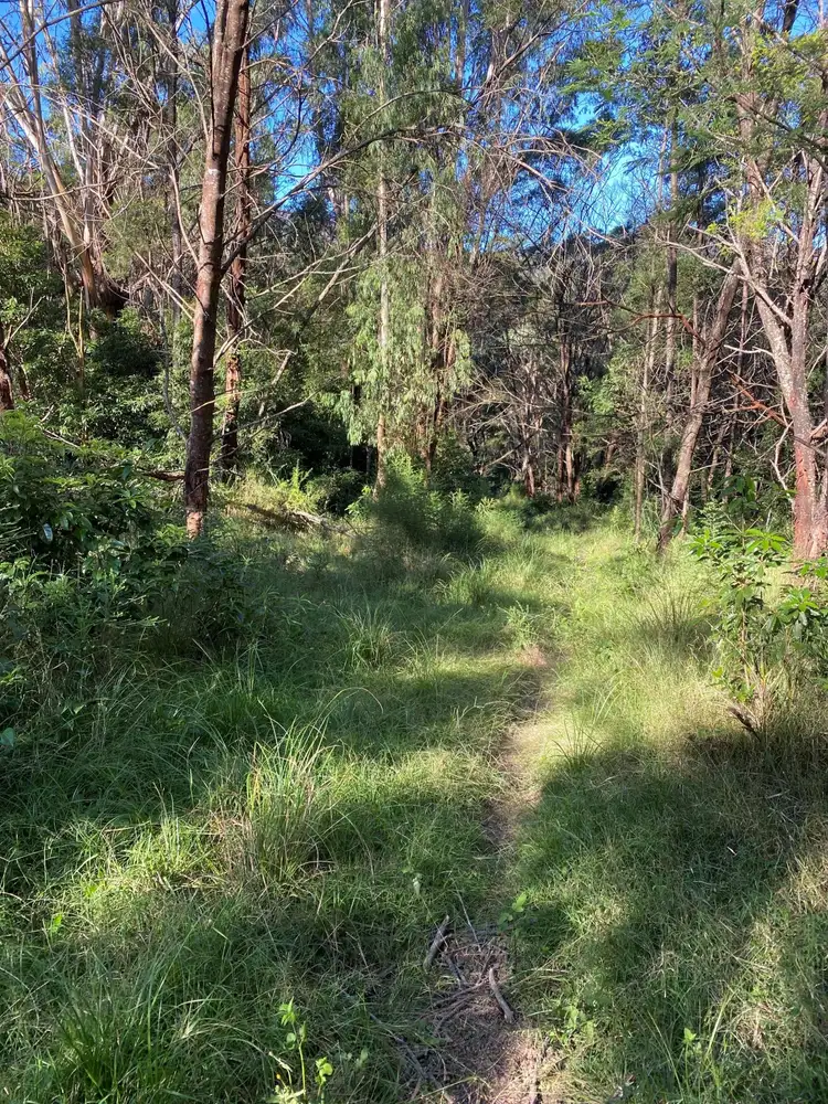 Seventh view of Homely rural property listing, 314 Glen Oaks Road, Brogo NSW 2550