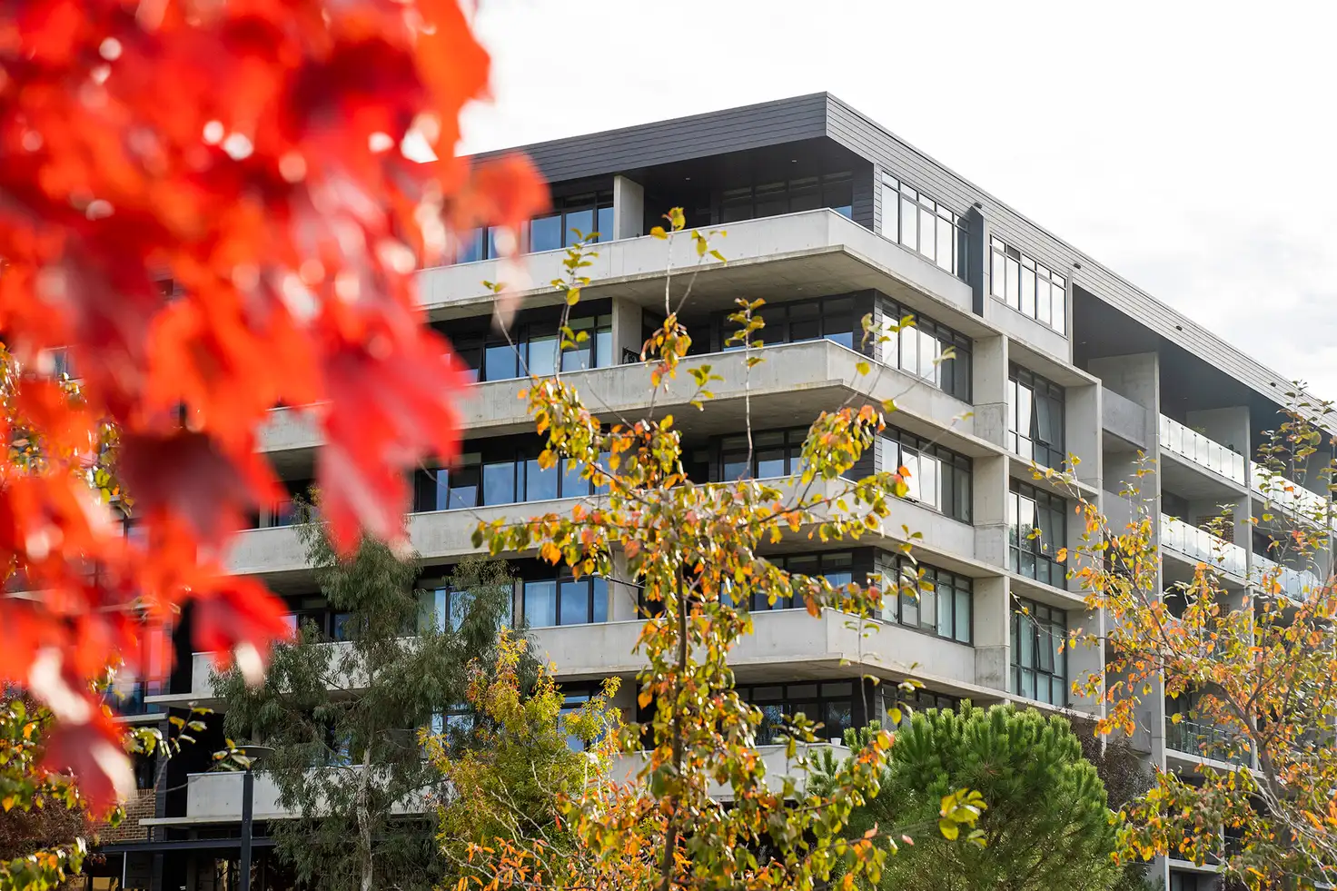 Main view of Homely apartment listing, 305/6 Provan Street, Campbell ACT 2612