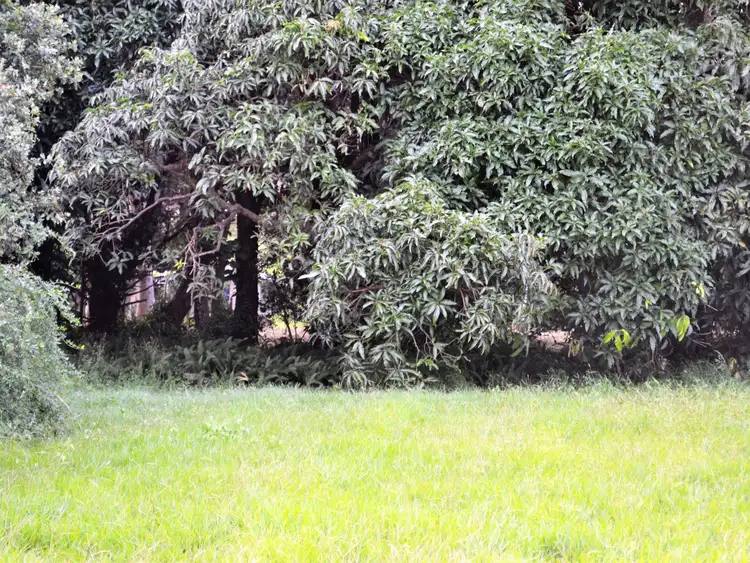 Fourth view of Homely land listing, 9 Marine Street, Macleay Island QLD 4184