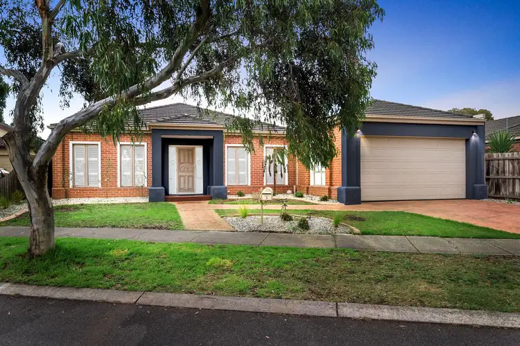 Main view of Homely house listing, 5 Rolain Avenue, South Morang VIC 3752
