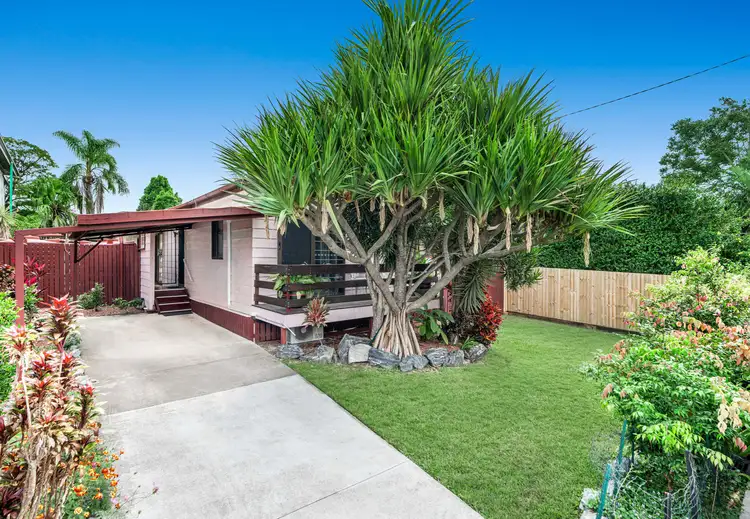 Main view of Homely house listing, 19 Shelley Street, Cannon Hill QLD 4170