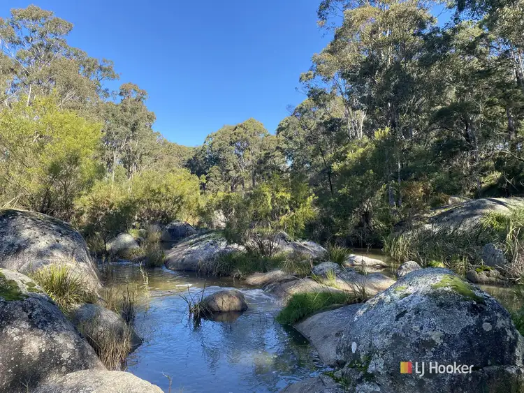 Fourth view of Homely rural property listing, 31 Moorlands Lane, Bega NSW 2550