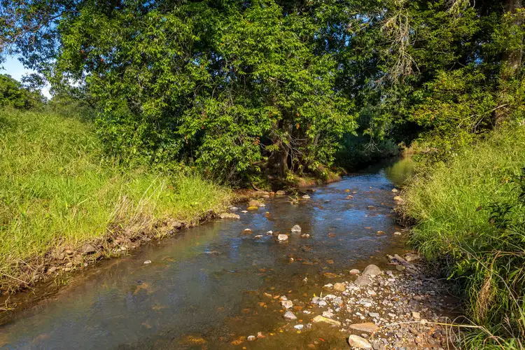 Fourth view of Homely rural property listing, 51 Killabakh Creek Road, Killabakh NSW 2429
