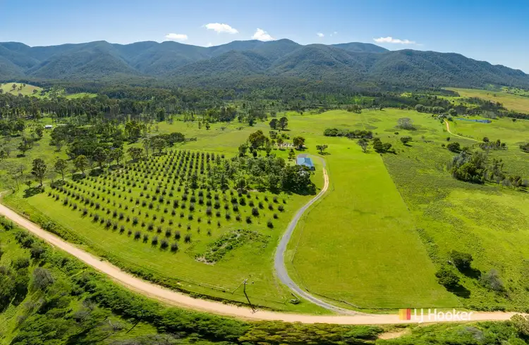572 Yankees Gap Road, Bemboka NSW 2550