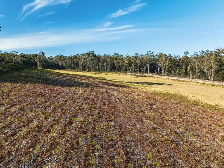 Sixth view of Homely land listing, 89 Canhams Road, St Helens TAS 7216
