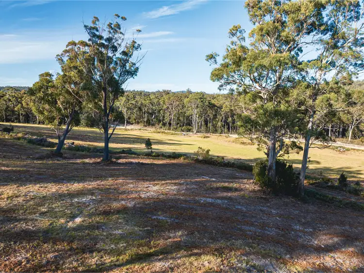 Seventh view of Homely land listing, 89 Canhams Road, St Helens TAS 7216