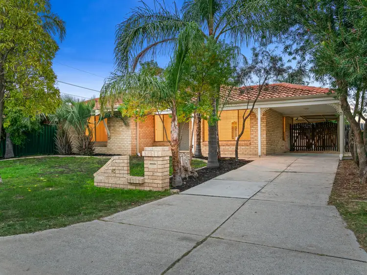 Main view of Homely house listing, 45 Seminole Gardens, Seville Grove WA 6112