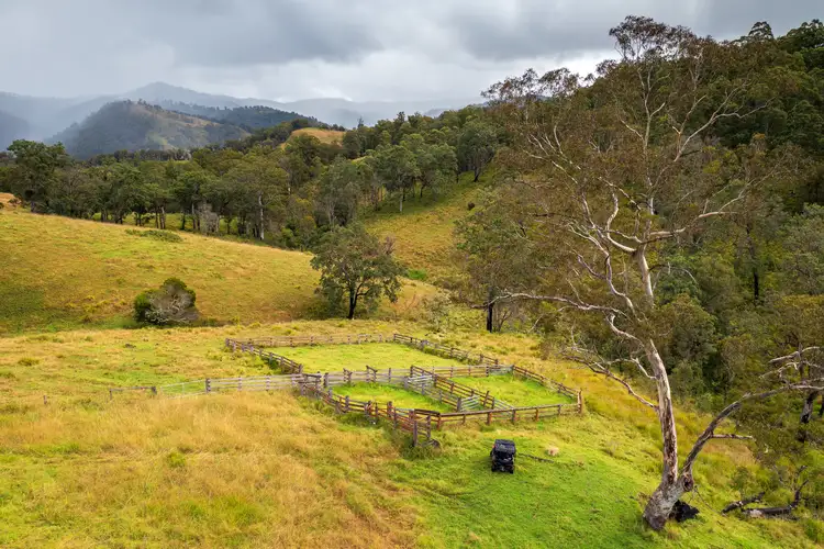 214 Eaglehawk Trail, Yarrowitch NSW 2354