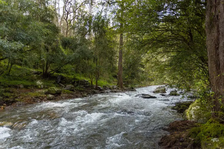 Second view of Homely rural property listing, 214 Eaglehawk Trail, Yarrowitch NSW 2354