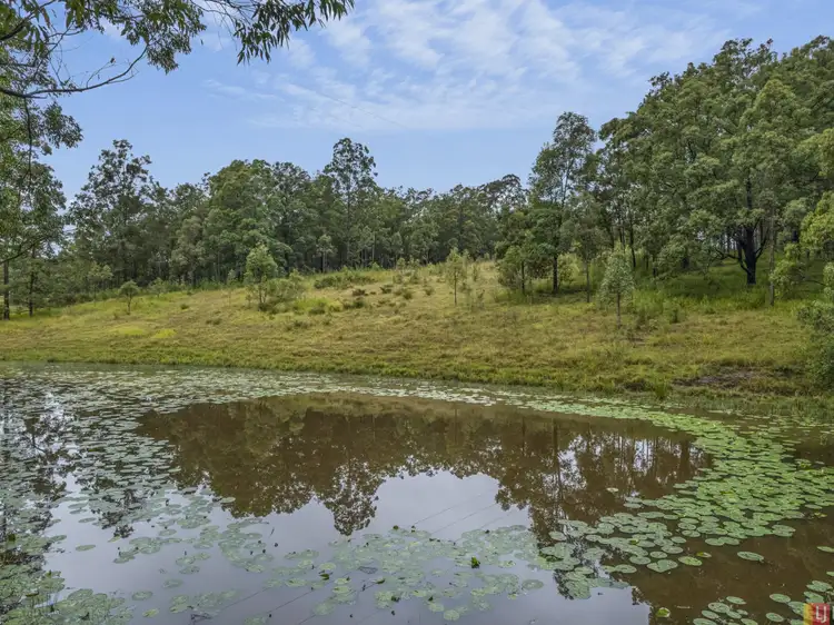 Main view of Homely rural property listing, Lot 511 Anembo Lane, Temagog NSW 2440
