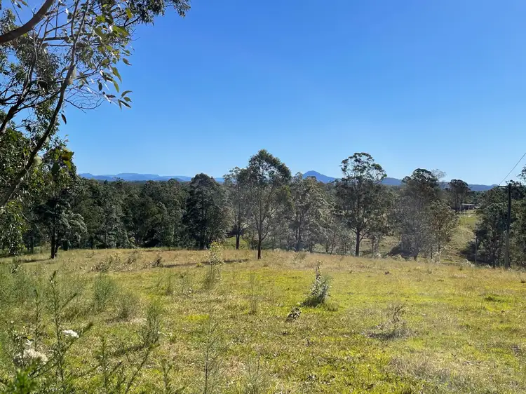 Fifth view of Homely rural property listing, Lot 511 Anembo Lane, Temagog NSW 2440