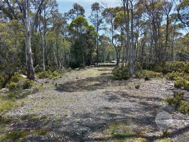 Third view of Homely land listing, 695 Arthurs Lake Road, Arthurs Lake TAS 7030