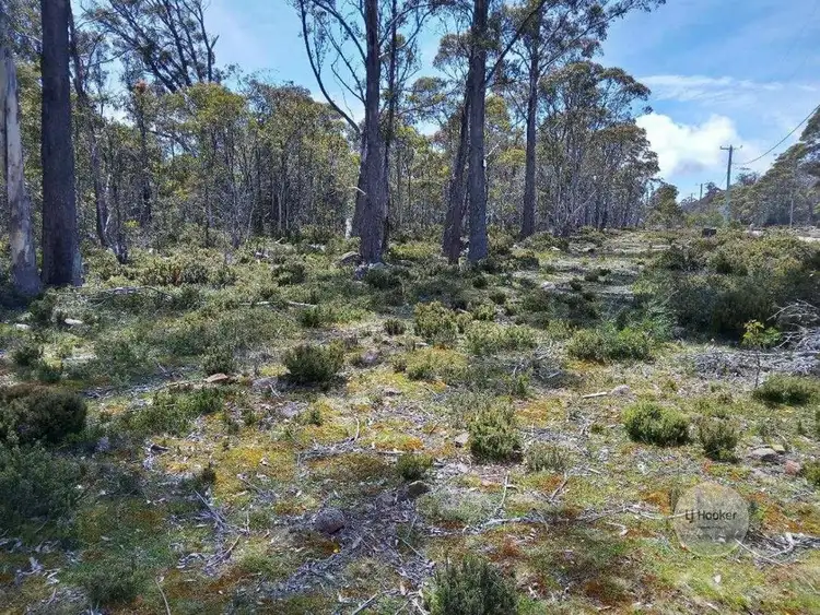 Fifth view of Homely land listing, 695 Arthurs Lake Road, Arthurs Lake TAS 7030