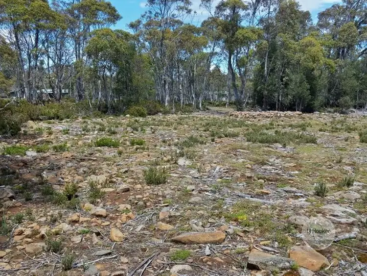 Sixth view of Homely land listing, 695 Arthurs Lake Road, Arthurs Lake TAS 7030