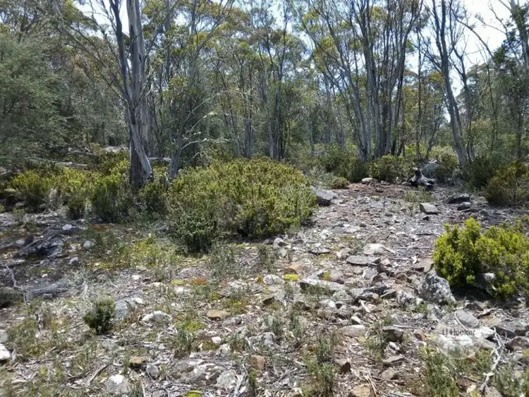 Seventh view of Homely land listing, 695 Arthurs Lake Road, Arthurs Lake TAS 7030