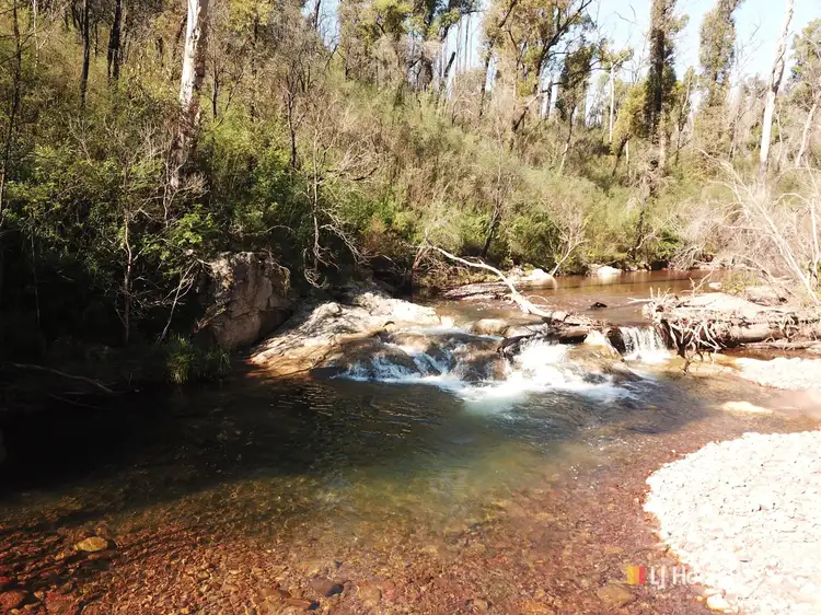 484 Murrabrine Forest Road, Yowrie NSW 2550