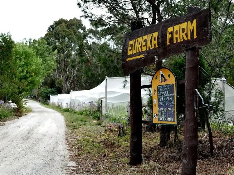 89 Upper Scamander Road, Scamander TAS 7215