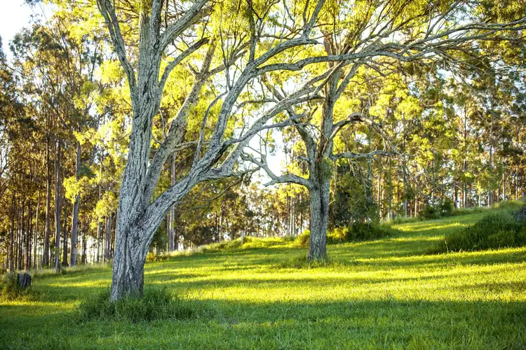 Fourth view of Homely land listing, Lot 17/121 Robson Road, Boonah QLD 4310