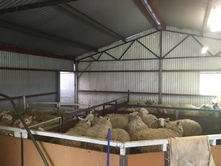 Fifth view of Homely rural property listing, 1487 Longs Corner Road, Canowindra NSW 2804