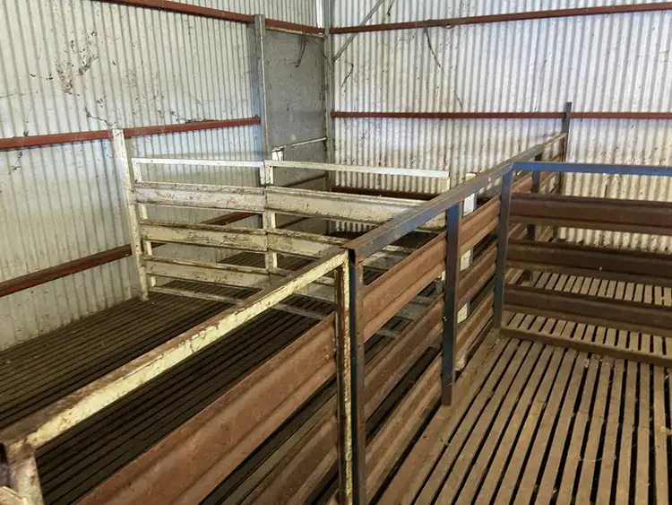 Seventh view of Homely rural property listing, 1487 Longs Corner Road, Canowindra NSW 2804