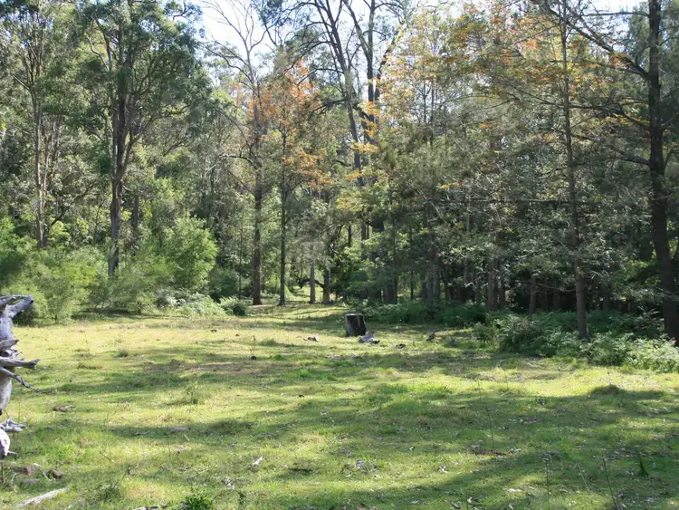 Second view of Homely rural property listing, Lot 53 Bakers Road,, Clintonvale QLD 4370
