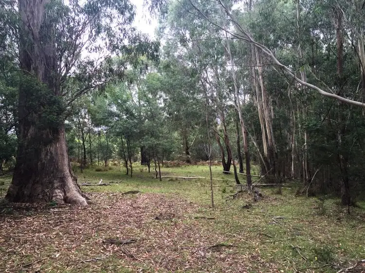 Fourth view of Homely land listing, Lots 1 & 2 Yankees Gap Road, Bemboka NSW 2550
