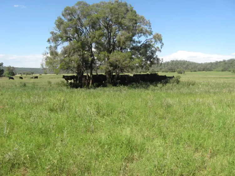 Fourth view of Homely rural property listing, Alan Cunningham Road, Bingara NSW 2404