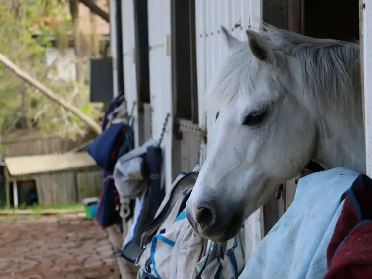 Seventh view of Homely house listing, 58 Cooyong Road, Terrey Hills NSW 2084