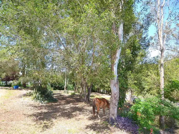 Fourth view of Homely house listing, 42 Villeneuve Road, Villeneuve QLD 4514