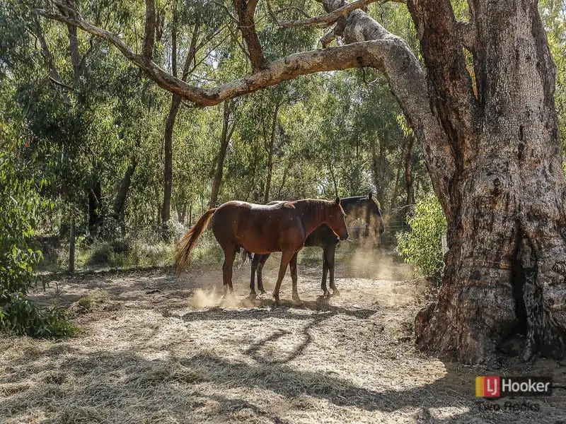 Main view of Homely house listing, 72 Emerald Drive, Carabooda WA 6033