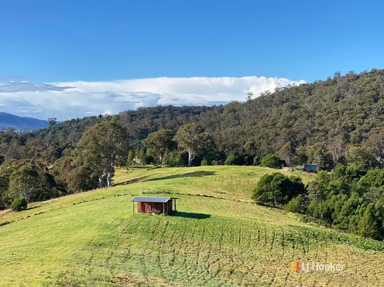 323 Hawks Head Road, Brogo NSW 2550
