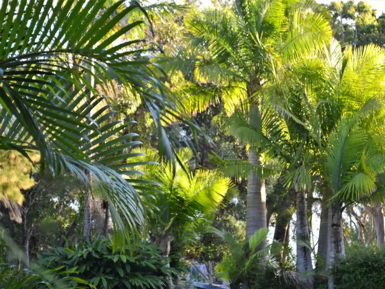 Fifth view of Homely land listing, 14 Calm Waters Crescent, Macleay Island QLD 4184