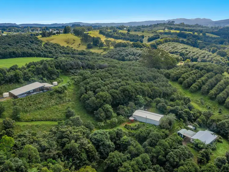 Third view of Homely rural property listing, 40 Rayward Road, Dunoon NSW 2480