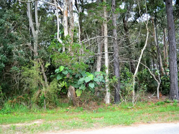 Main view of Homely land listing, 38 Alexander Street, Macleay Island QLD 4184
