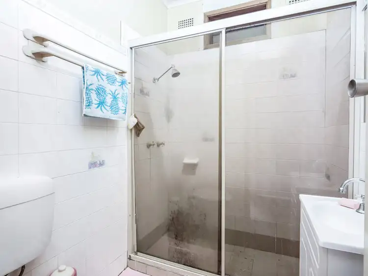 Fifth view of Homely house listing, 10 Gregory Street, Greystanes NSW 2145