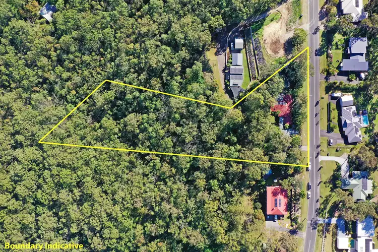 Second view of Homely house listing, 61 Carrington Road, Bonogin QLD 4213