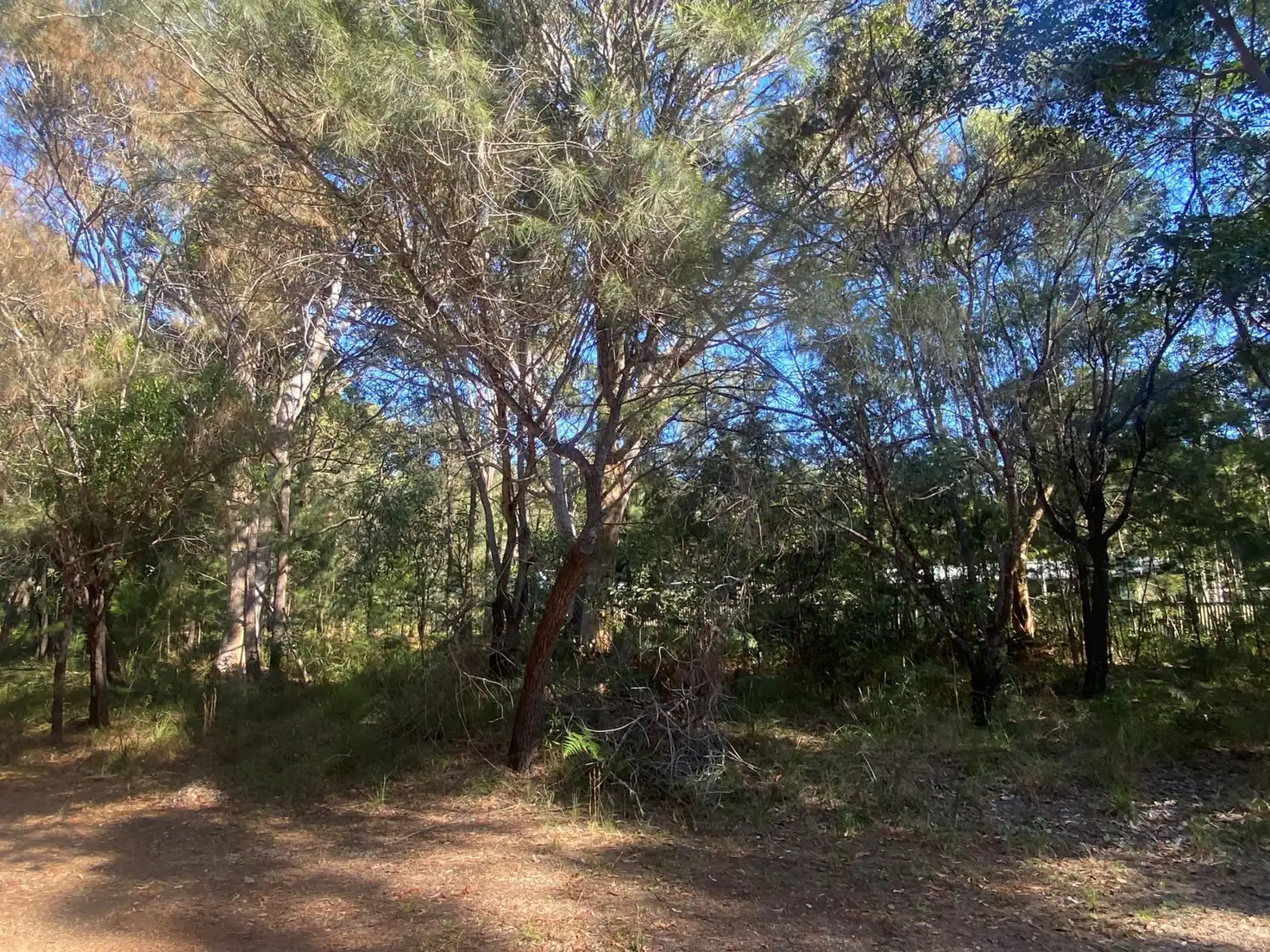 Main view of Homely land listing, 70 HACKING RIDGE, Russell Island QLD 4184