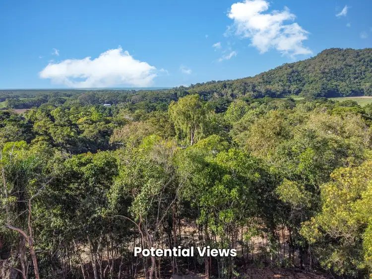 Third view of Homely land listing, 332 Mowbray River Road, Mowbray QLD 4877