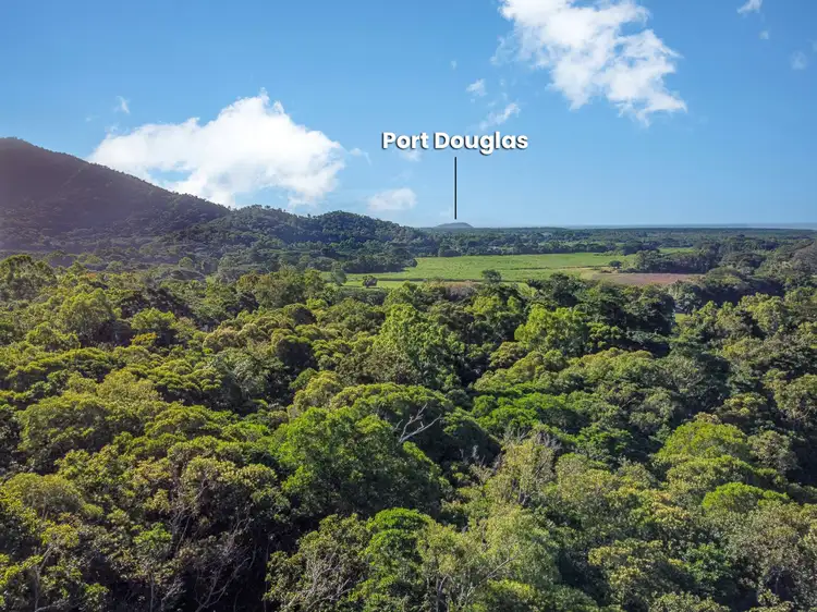 Seventh view of Homely land listing, 332 Mowbray River Road, Mowbray QLD 4877