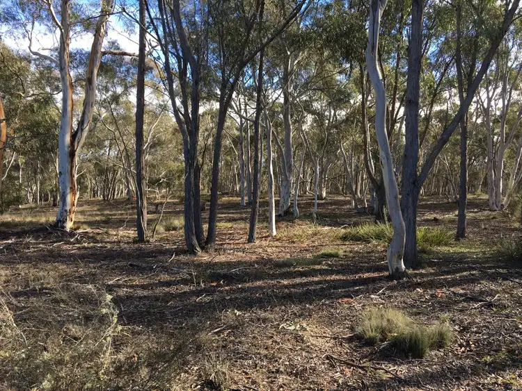 Fourth view of Homely rural property listing, 59 Sandy Point Road, Windellama NSW 2580